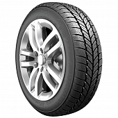 RoadX RXFrost WH01 185/65 R14 86T