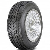 Landsail Winter Lander 195/65 R15 91H