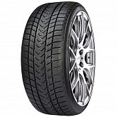 Gripmax Status Pro Winter 225/40 R18 92V XL