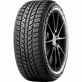 Evergreen EW62 165/65 R14 79T